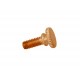 Vis 5/32" porte-lyre BESSON verni