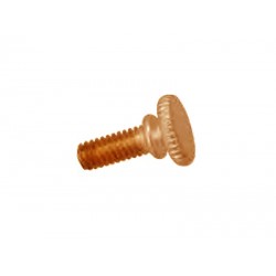 Vis 5/32" porte-lyre BESSON verni