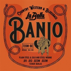 Cordes Tenor Banjo 4 (011-033) Ball End
