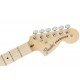 Fender Stratocaster American Performer Limited Ed. - Guitare Electrique