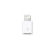 Apple Adaptateur Lightning au micro USB