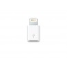Apple Adaptateur Lightning au micro USB