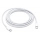 Apple Câble de chargement USB USB C - USB C 2 m