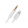 deleyCON Câble audio - Lightning jusqu'à Jack 3,5 mm
