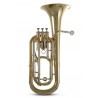 Baryton Sib Roy Benson BH-301 - verni